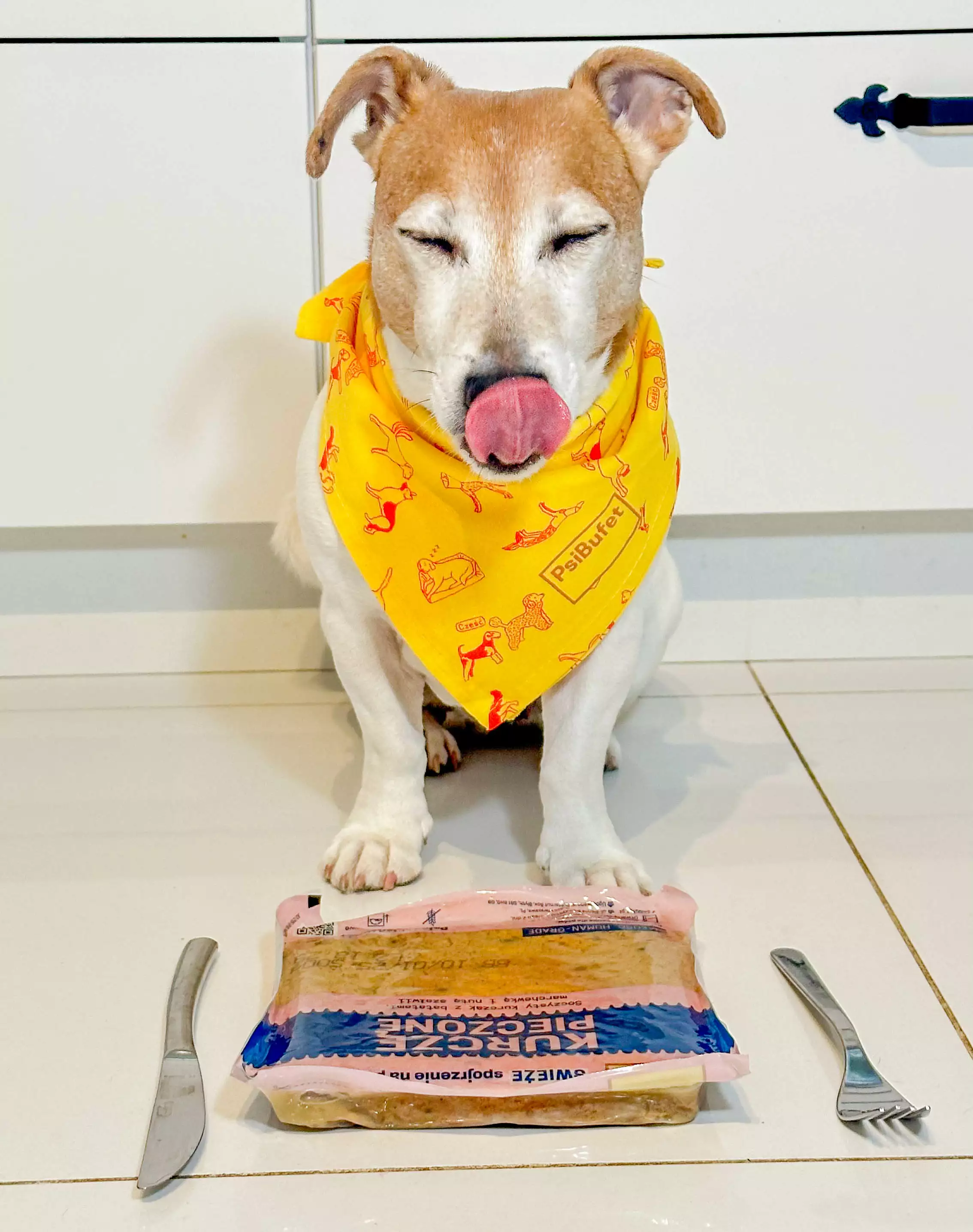 Pies w żółtej bandanie z nadrukiem w pieski i logo PsiBufet siedzi nad saszetką z jedzeniem i oblizuje się.