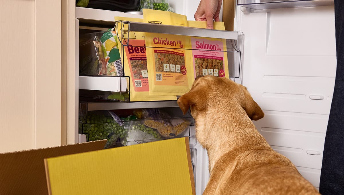 Dog looks at Butternut Box fresh dog food packets in an open freezer drawer.