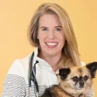 vet holding a dog