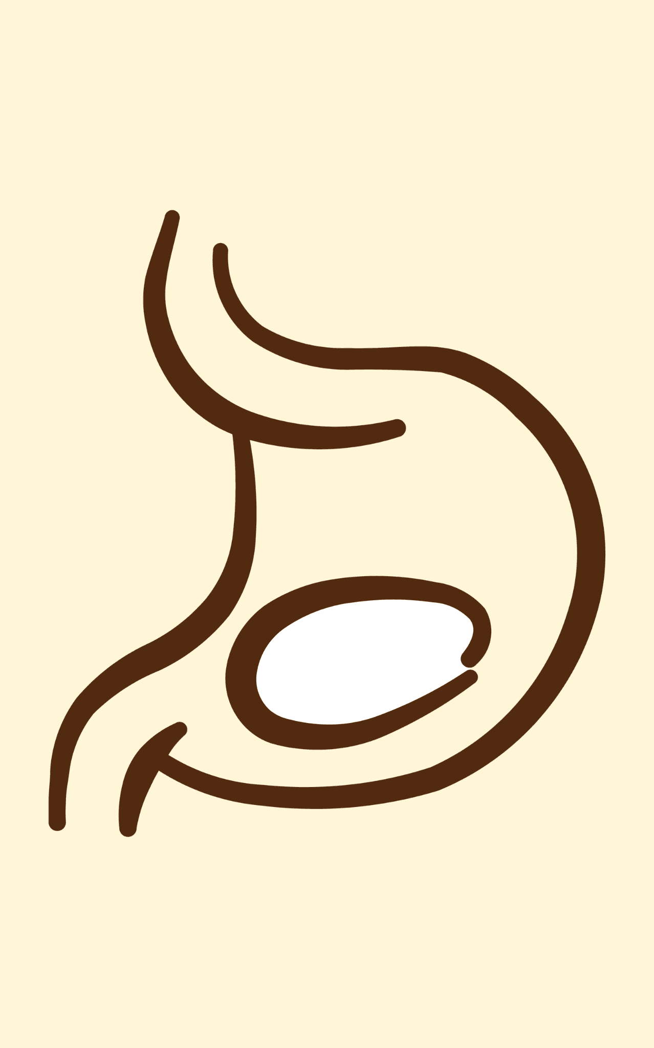 Illustration of a stomach