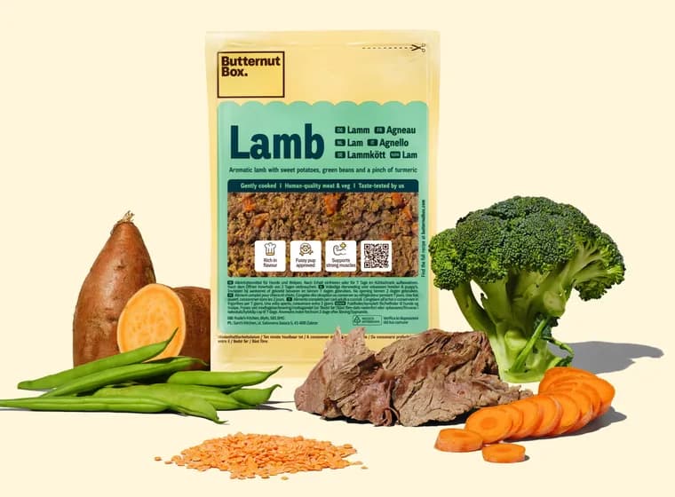 Lamb