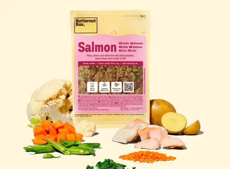 Salmon