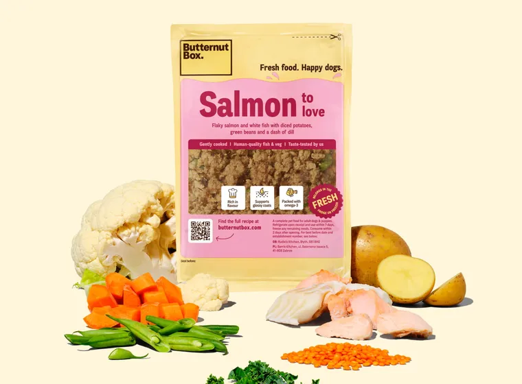 Salmon