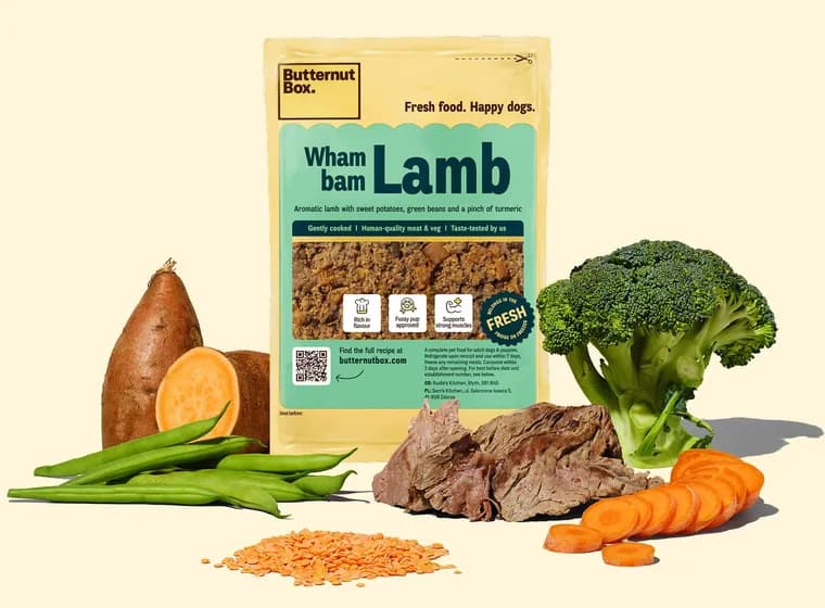 Lamb