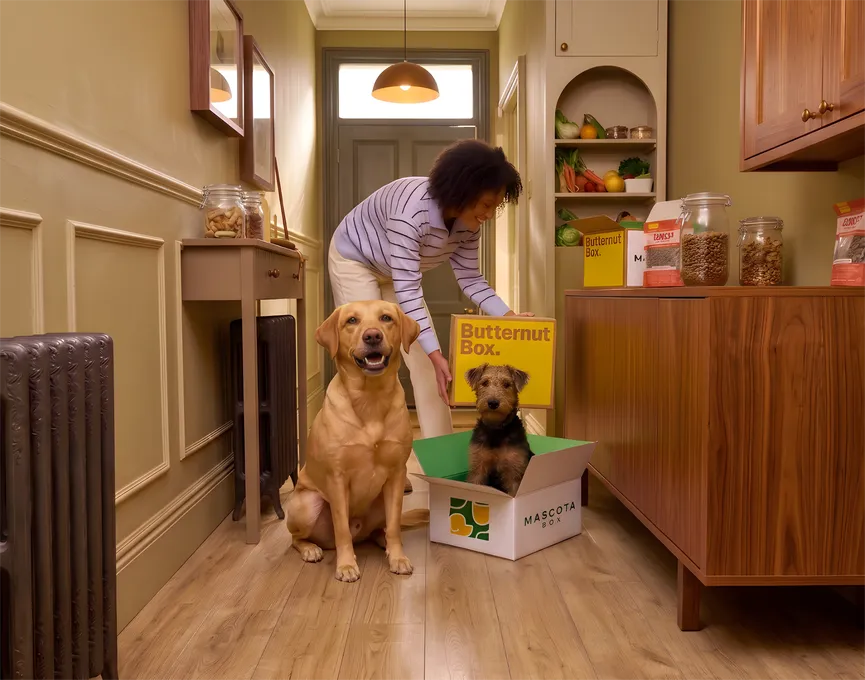 two dogs and a woman