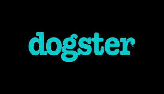 The word "dogster" is written in bold, bright turquoise lowercase lettering on a plain background.
