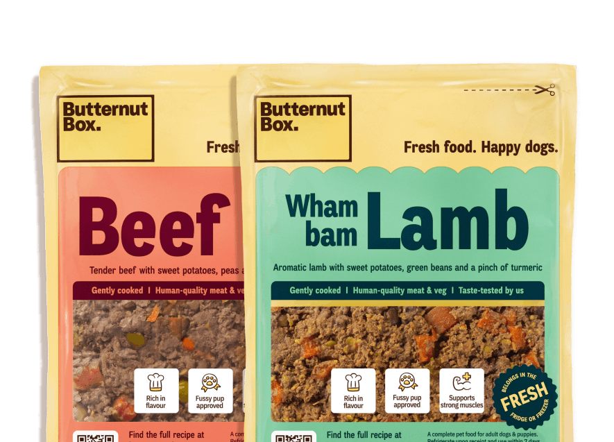 Packaging of Butternut Box fresh dog food featuring Beef and Wham Bam Lamb flavors, with ingredients and benefits highlighted.