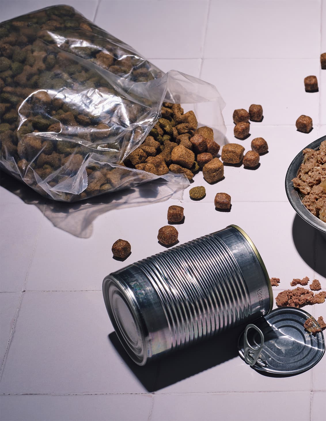 Bag of dry dog food and an opened can on a tiled surface. Some kibble and wet food in a bowl are visible.
