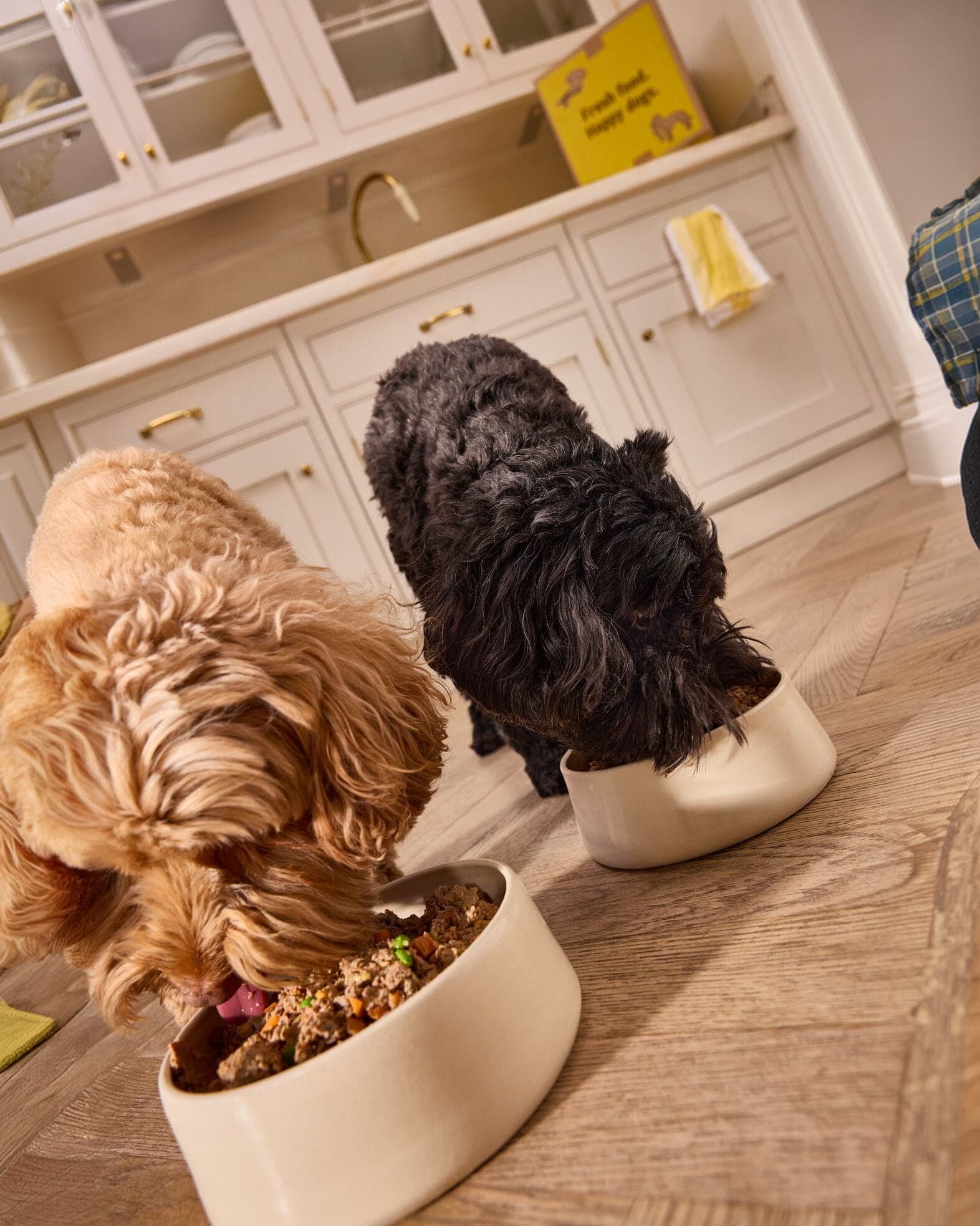 Two fluffy dogs eagerly eating fresh food from bowls on a wooden kitchen floor, with a Butternut Box in the background.