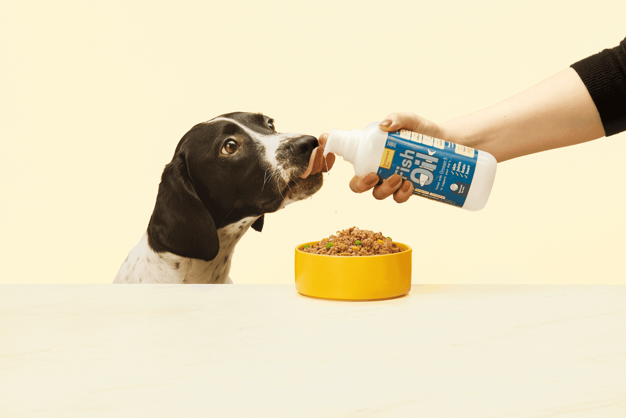 Dog licking fish oil
