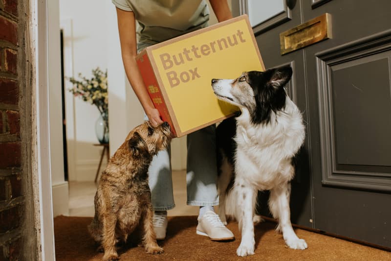 Butternut Box dog food being delivered to the front door
