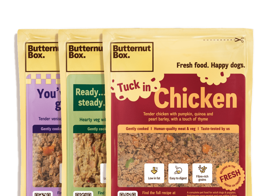 Butternut Box dog food pouches in various flavors, featuring chicken, venison, and beef, with fresh ingredients and clear labels for benefits.