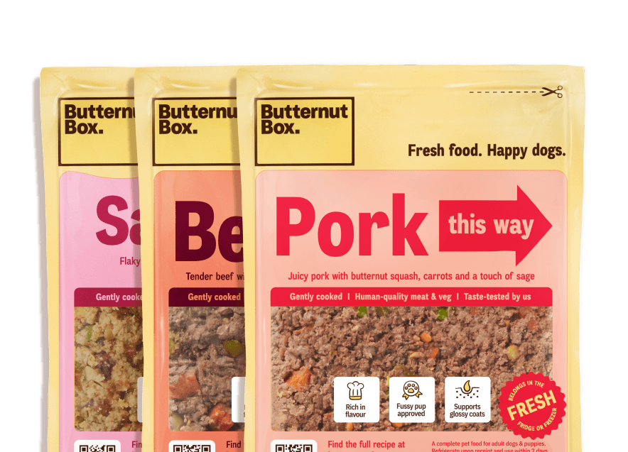 Packages of Butternut Box dog food featuring pork, beef, and salmon varieties, promoting fresh, human-quality ingredients.