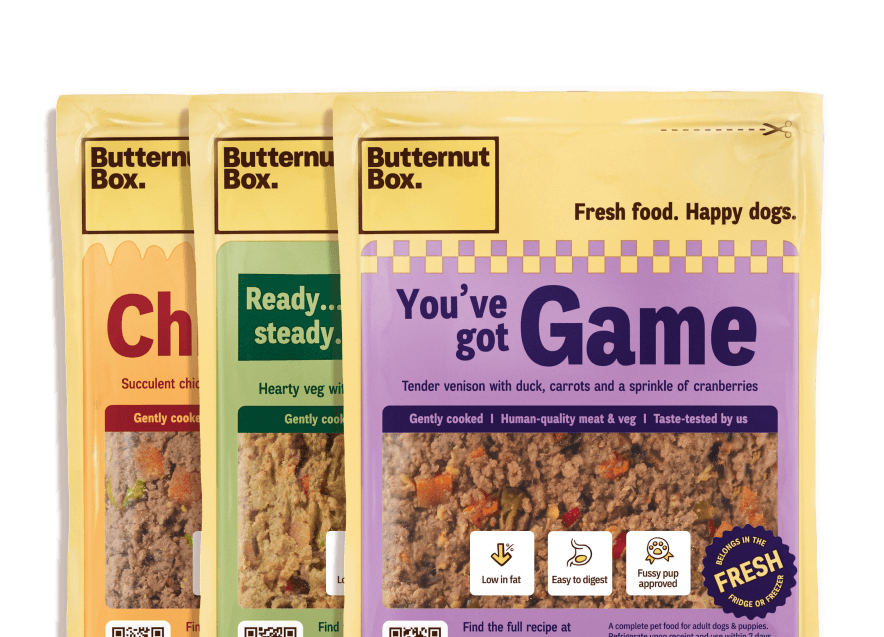 Three Butternut Box dog food packets: Chicken, Veggie, and Venison flavors with fresh ingredients.