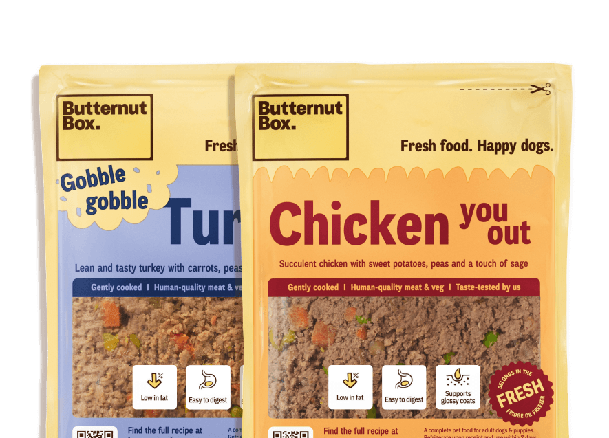 Packages of Butternut Box dog food in turkey and chicken flavors, labeled as fresh and gently cooked.