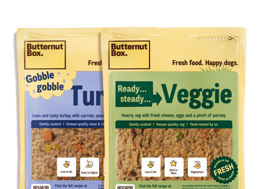 Packages of Butternut Box turkey and veggie dog food, highlighting fresh ingredients and nutritional benefits.