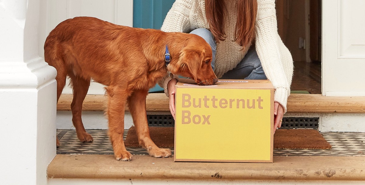 Box and dog on doorstep - OG Image